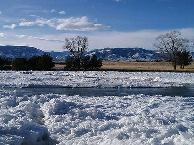 10 February, 2023 - Yellowstone River and Livingston Area Fly Fishing Report
