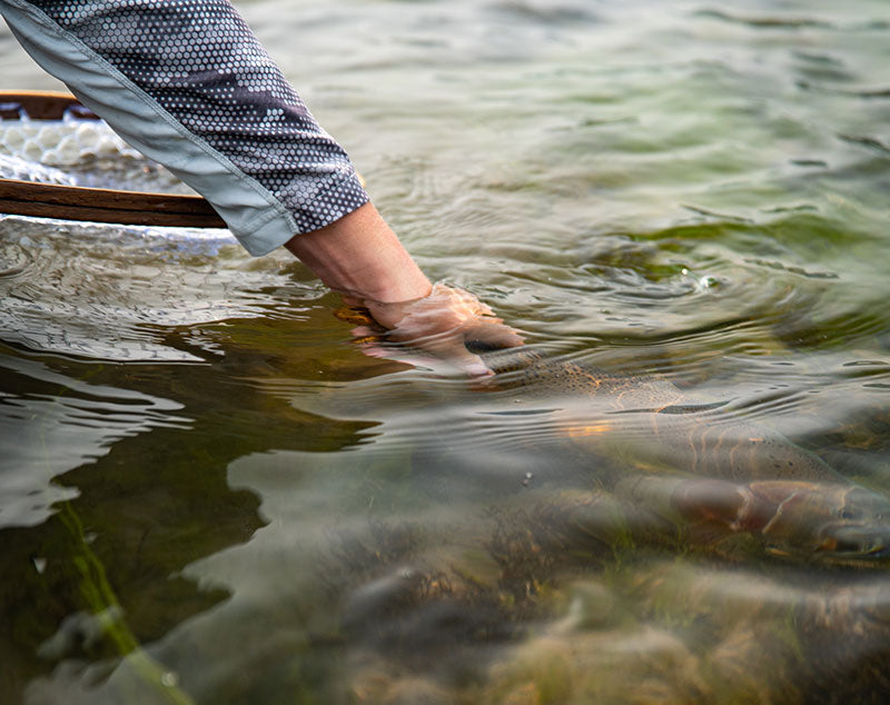 20 August, 2021 - Yellowstone River and Livingston Area Fly Fishing Report