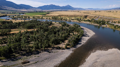 20 August, 2023 - Yellowstone River and Livingston Area Fly Fishing Report