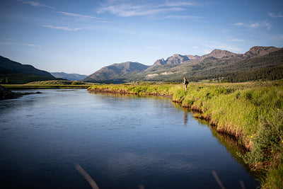 23 July, 2023 - Yellowstone River and Livingston Area Fly Fishing Report