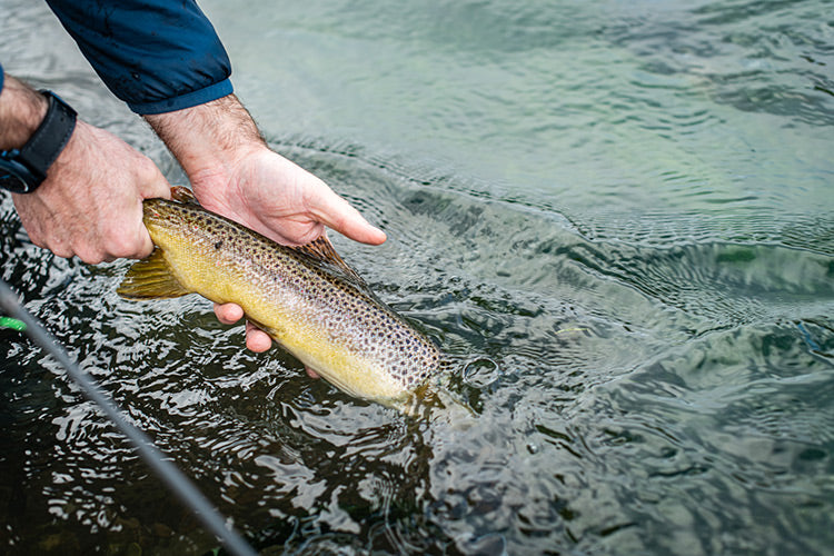 7 December, 2022 - Yellowstone River and Livingston Area Fly Fishing Report