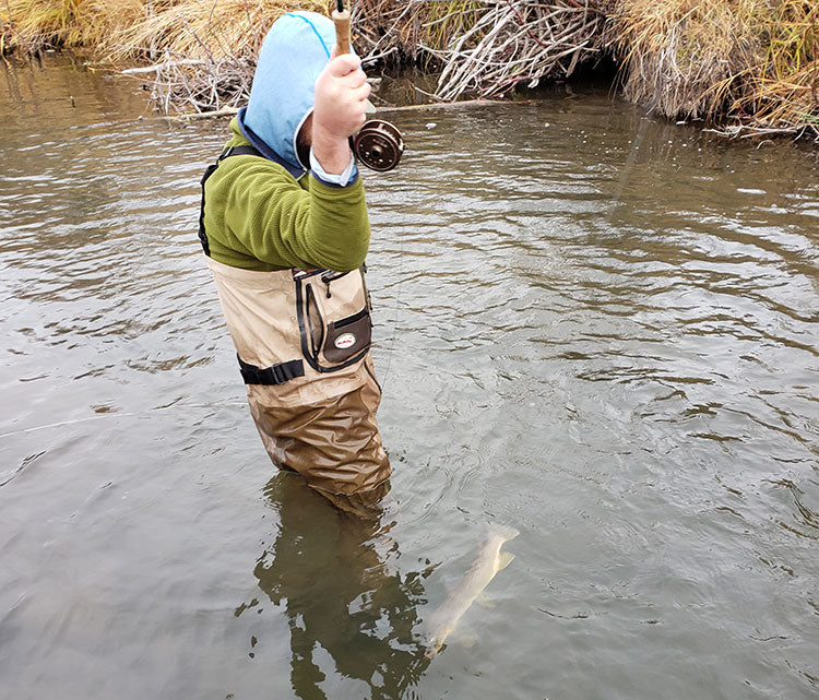 7 November, 2021 - Yellowstone River and Livingston Area Fly Fishing Report