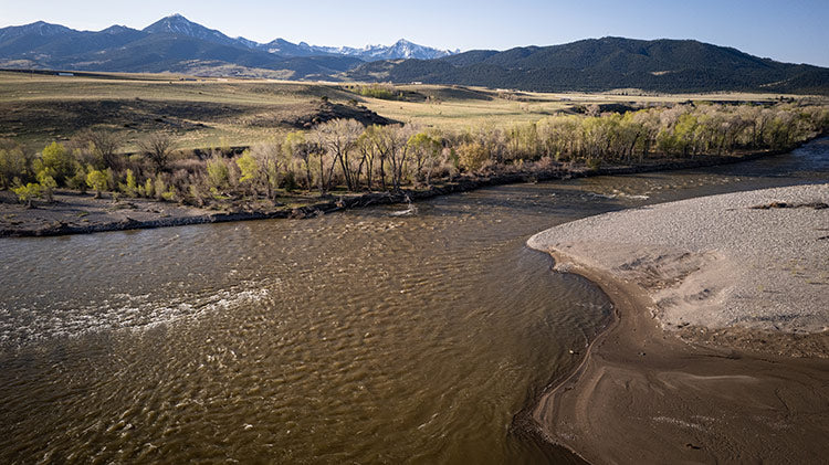 9 June, 2024 - Yellowstone River and Livingston Area Fly Fishing Report