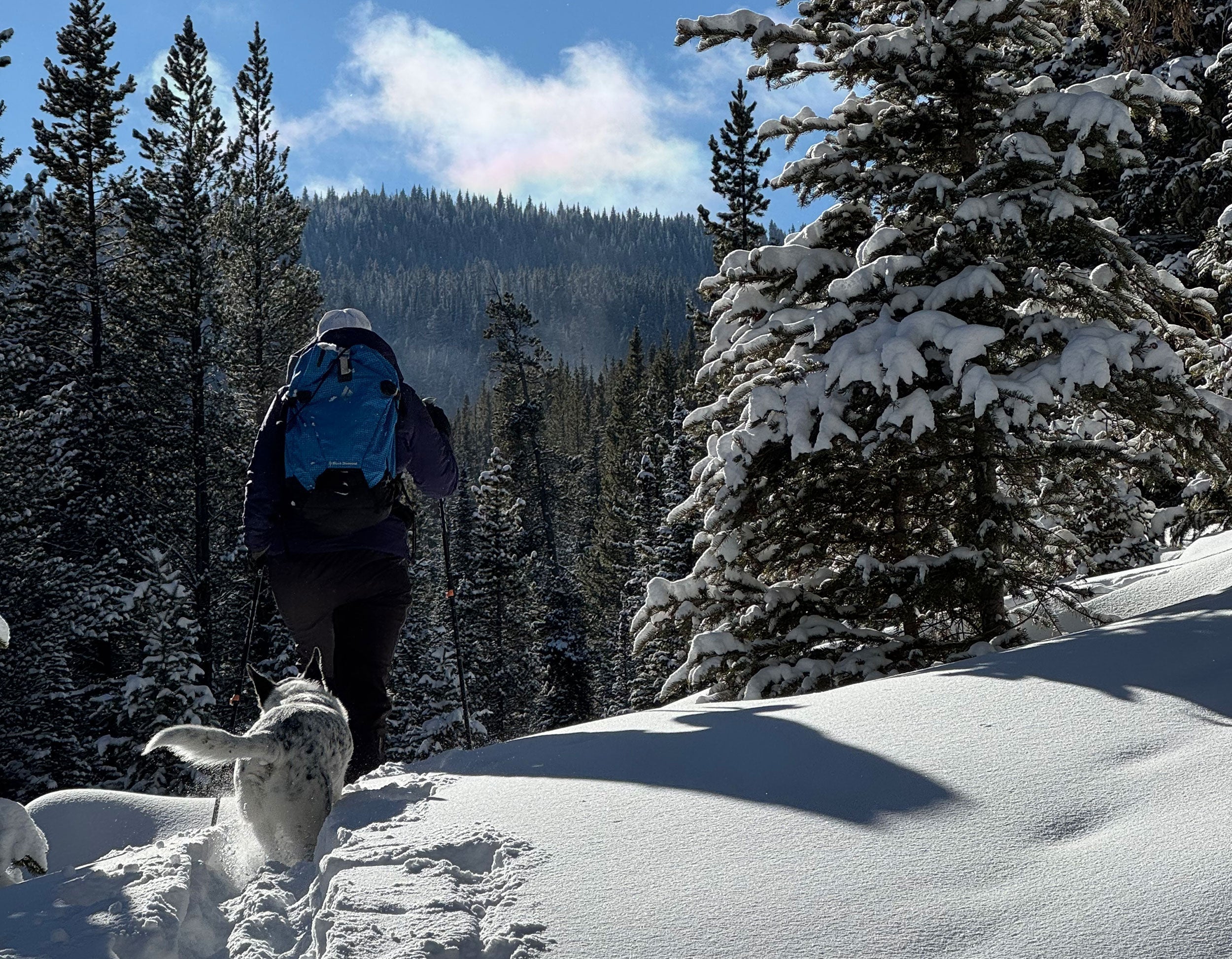 Backcountry skiing in Montana