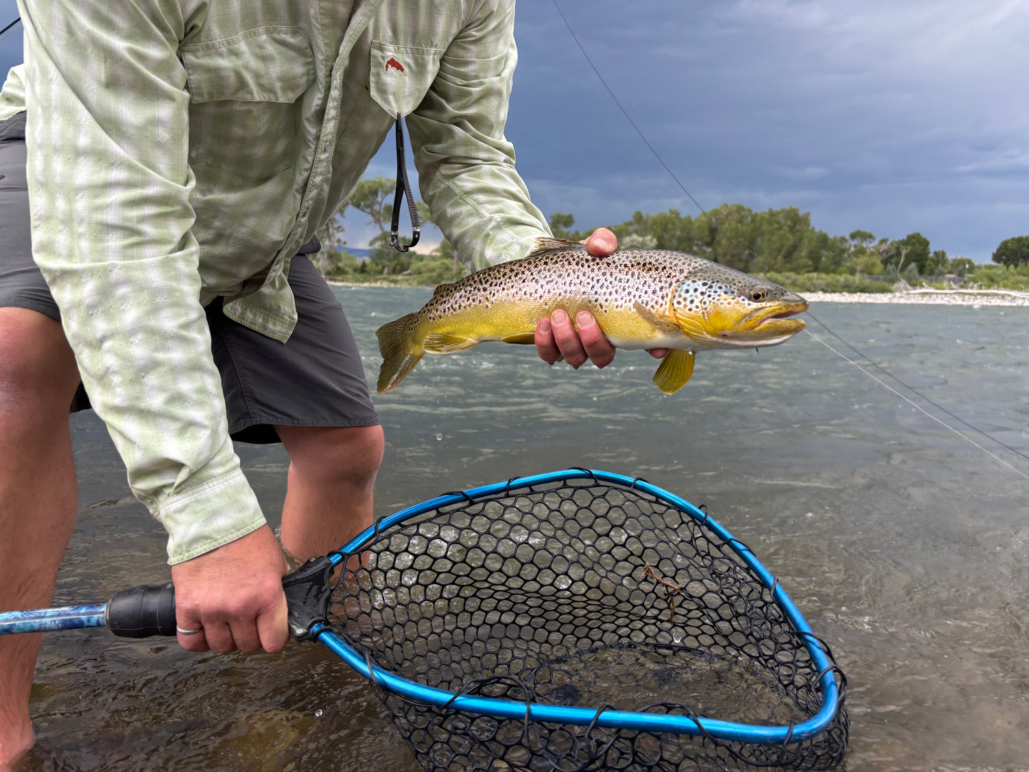 Yellowstone River and Livingston Area Fishing Report - July 15, 2026