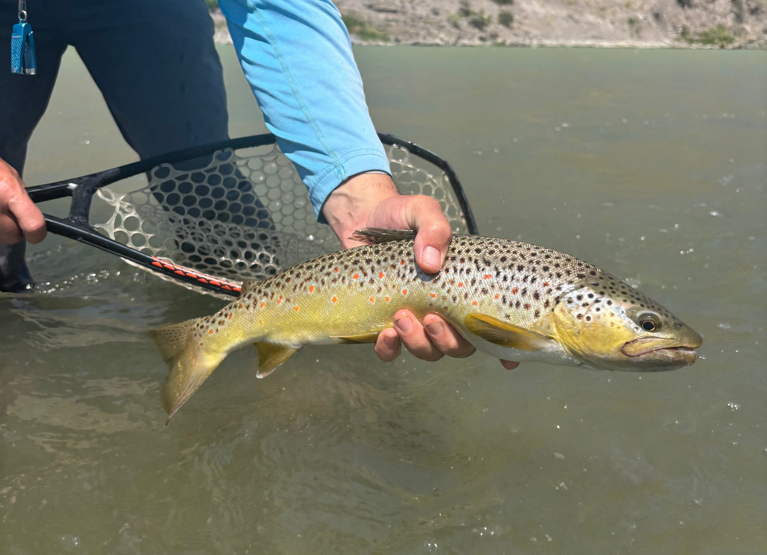 Yellowstone River and Livingston Area Fishing Report - August 5, 2026