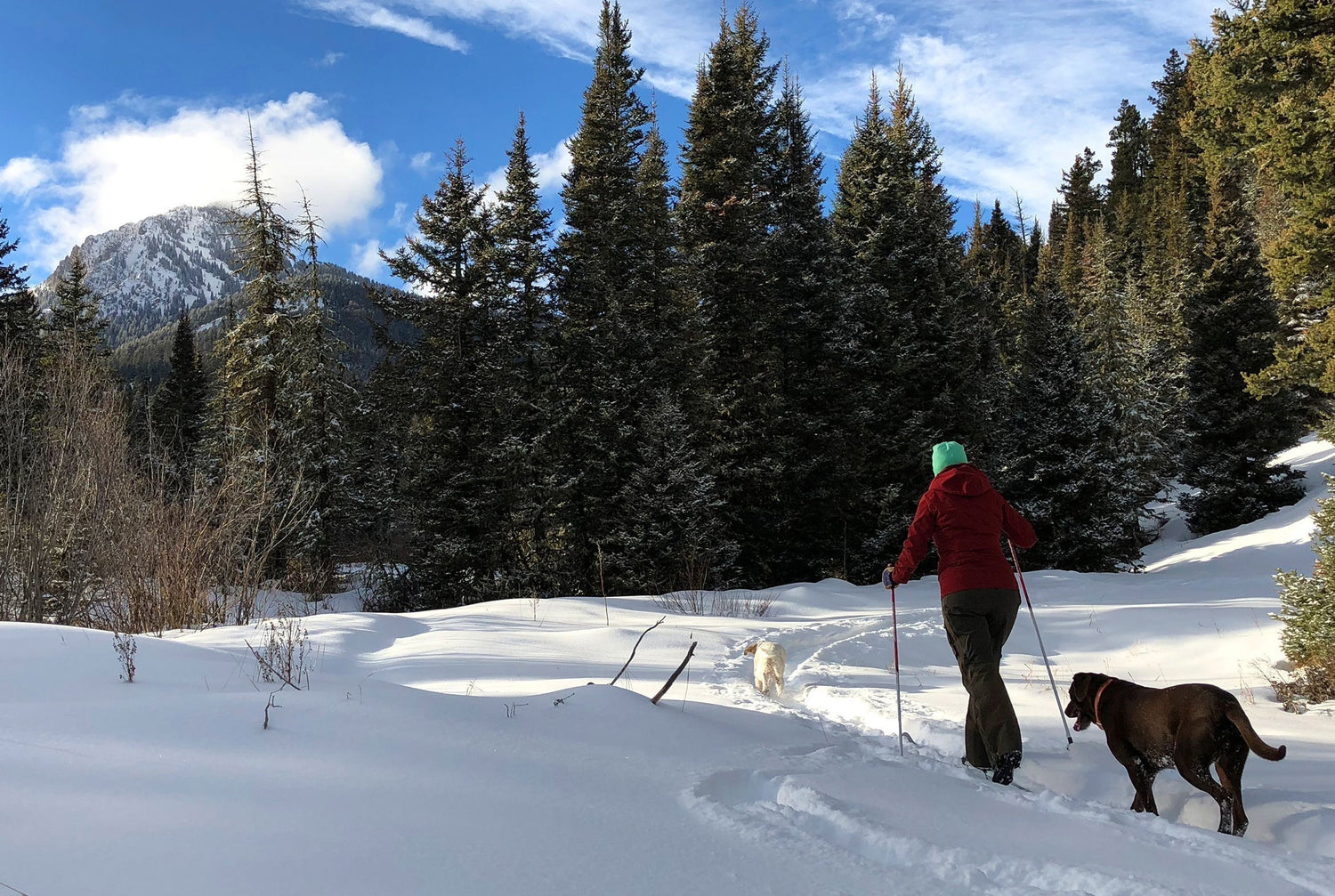 Dan Bailey's February 27, 2026 Snow Report