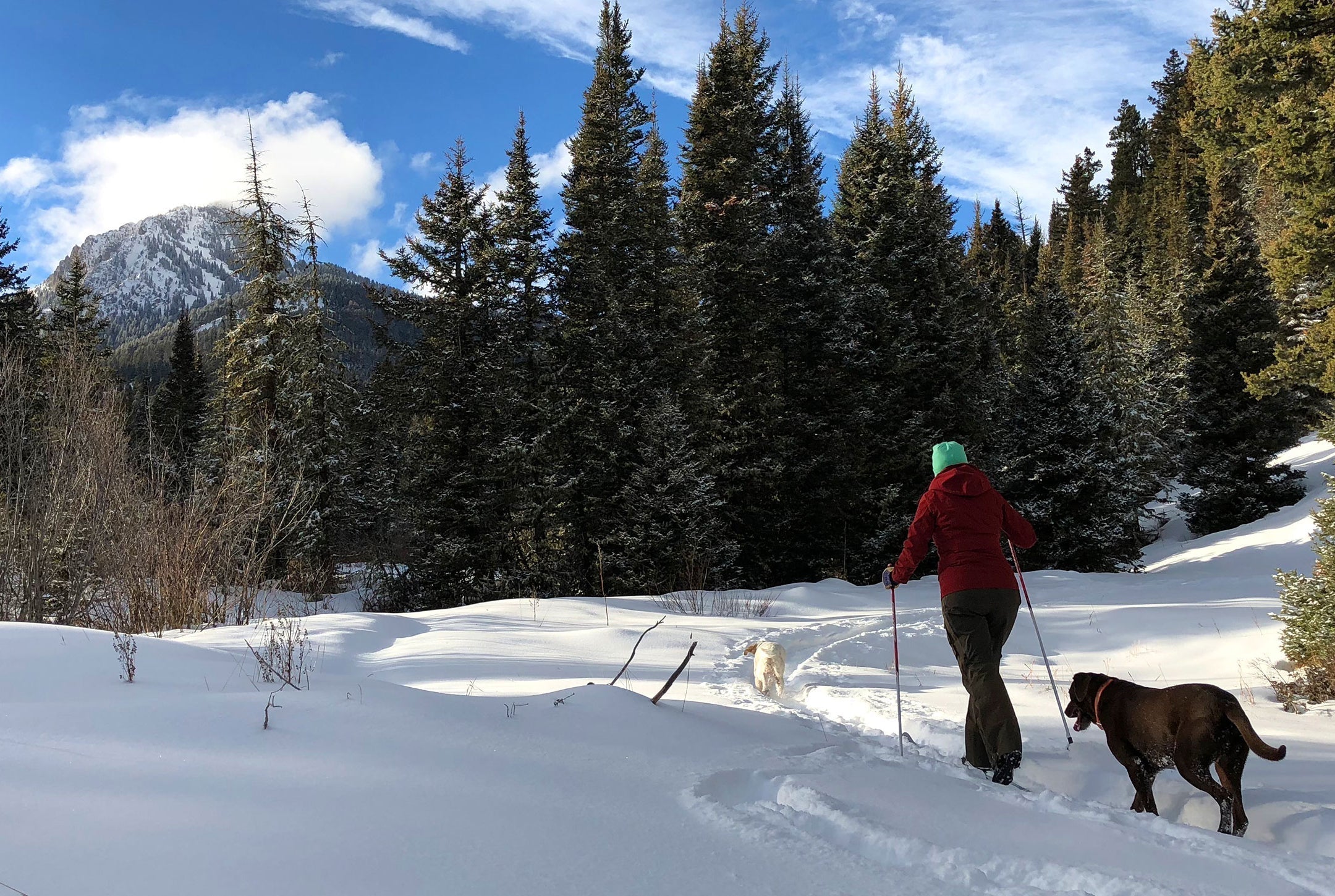 Dan Bailey's February 27, 2026 Snow Report