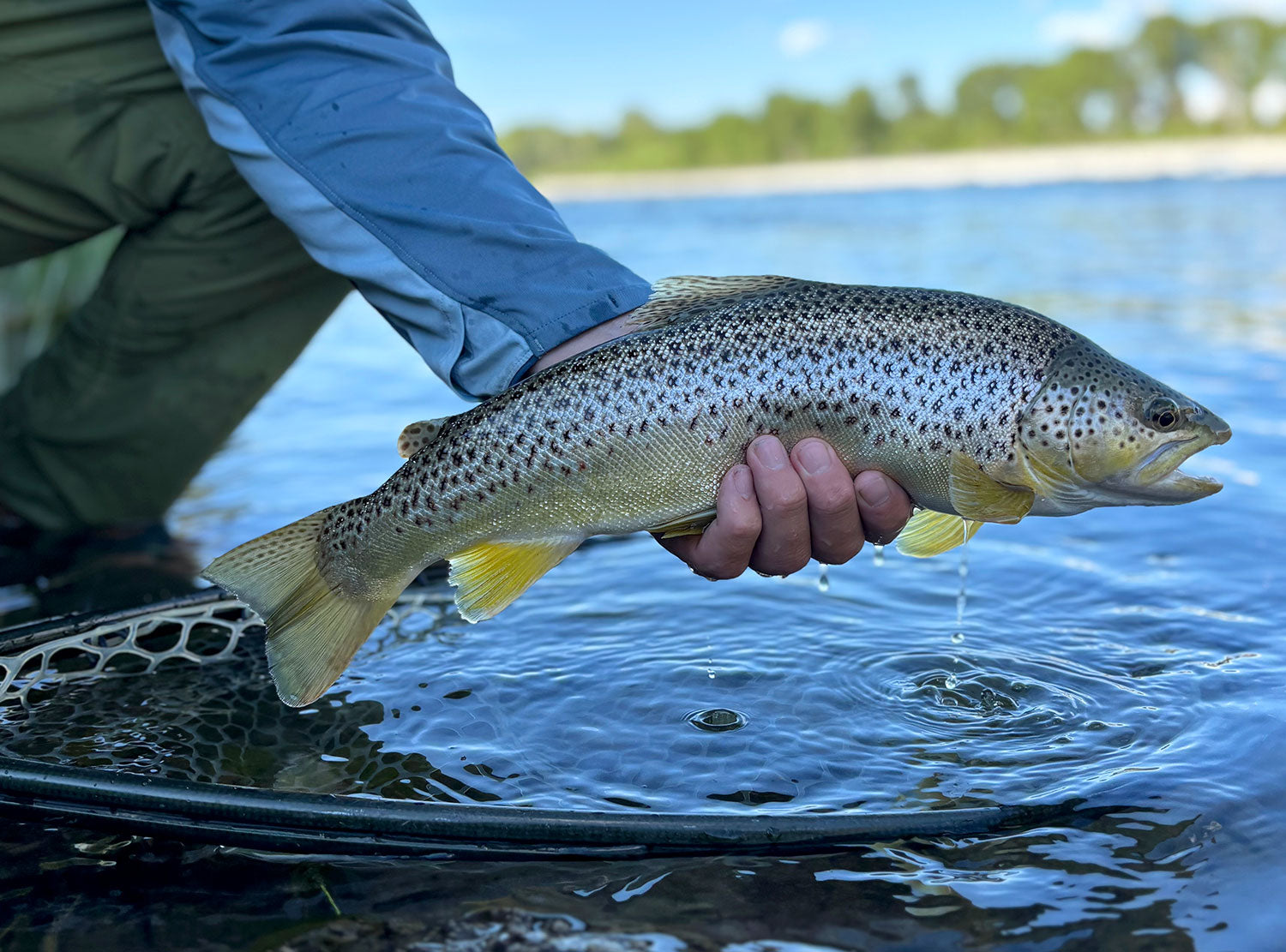 Fly fishing in Montana