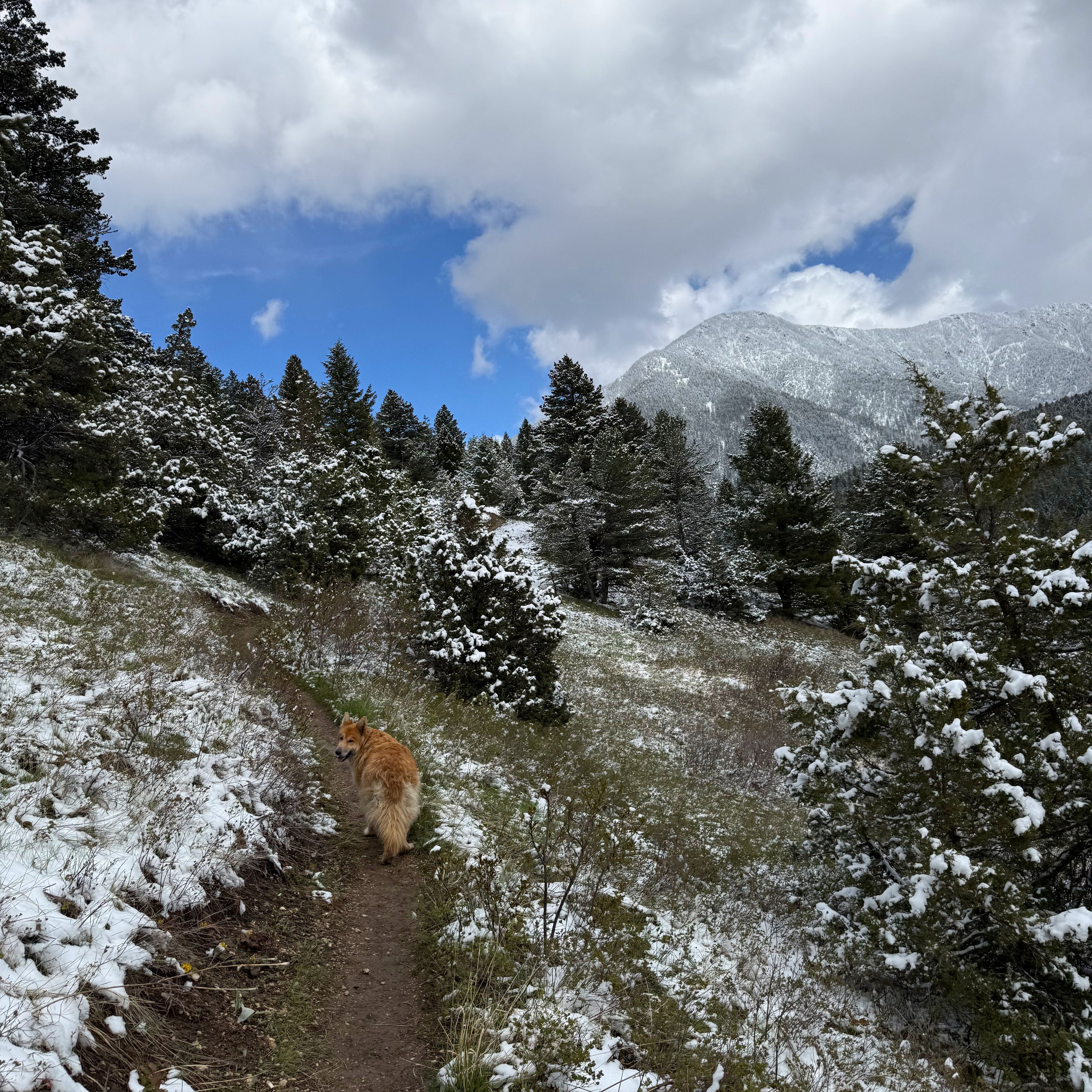 Hiking Trails Report - May 1, 2026