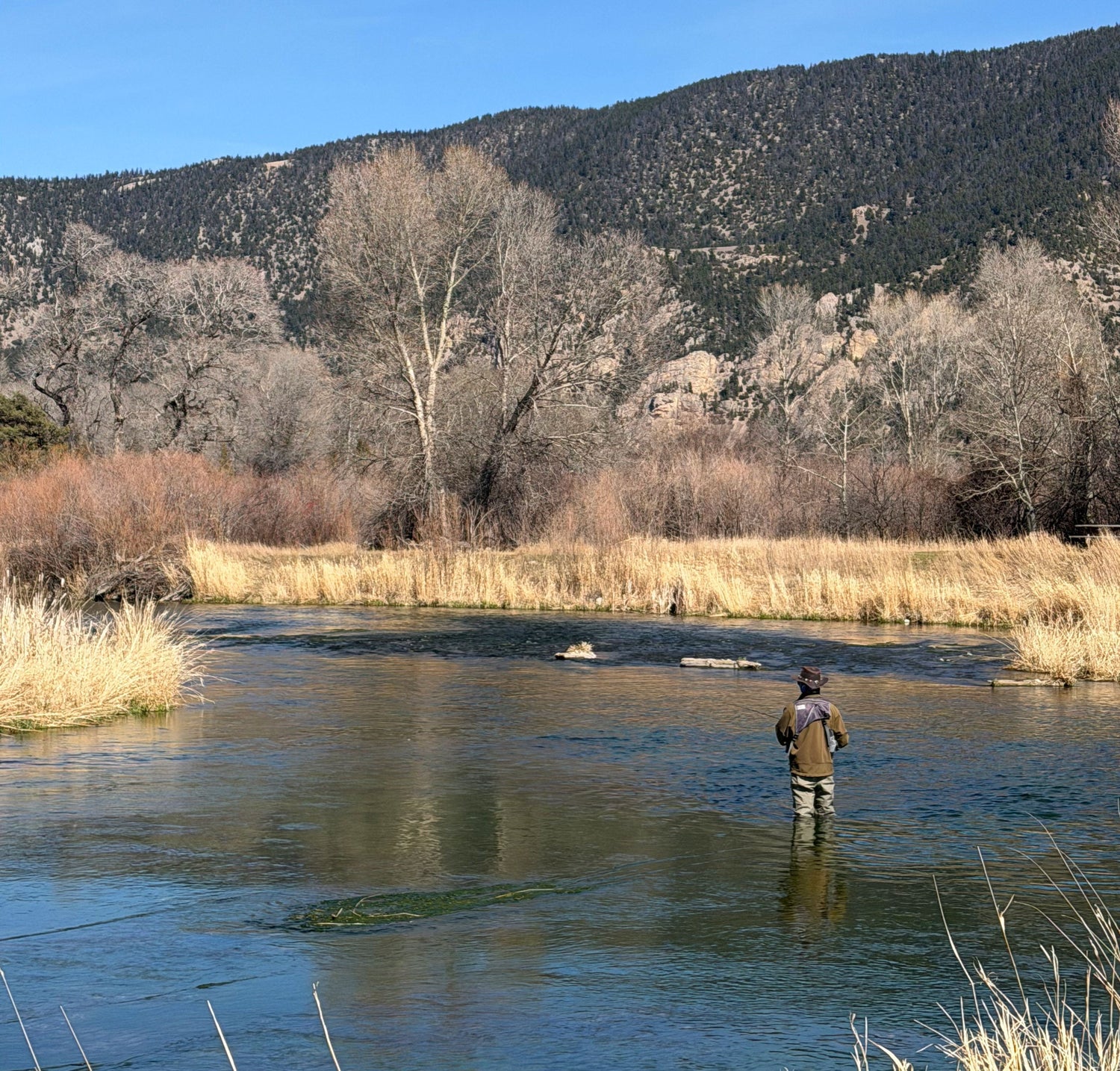 Yellowstone River and Livingston Area Fishing Report - April 9, 2026