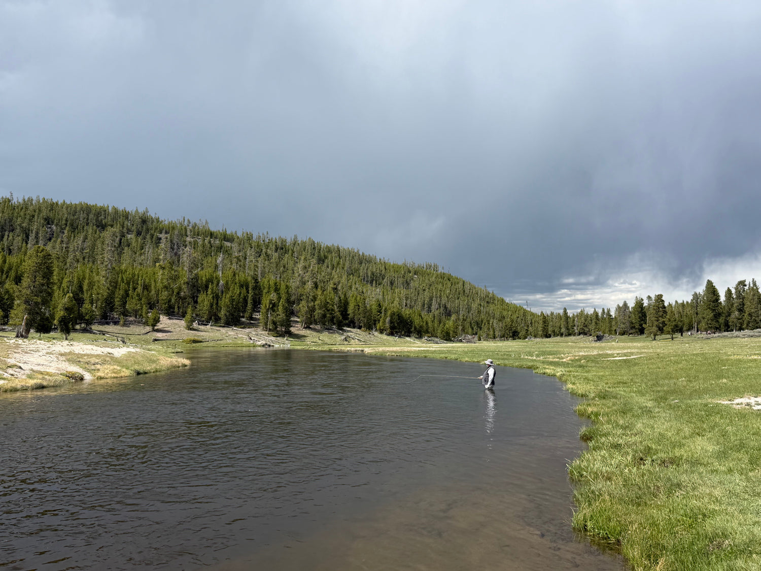 Yellowstone River and Livingston Area Fishing Report - June 4, 2026