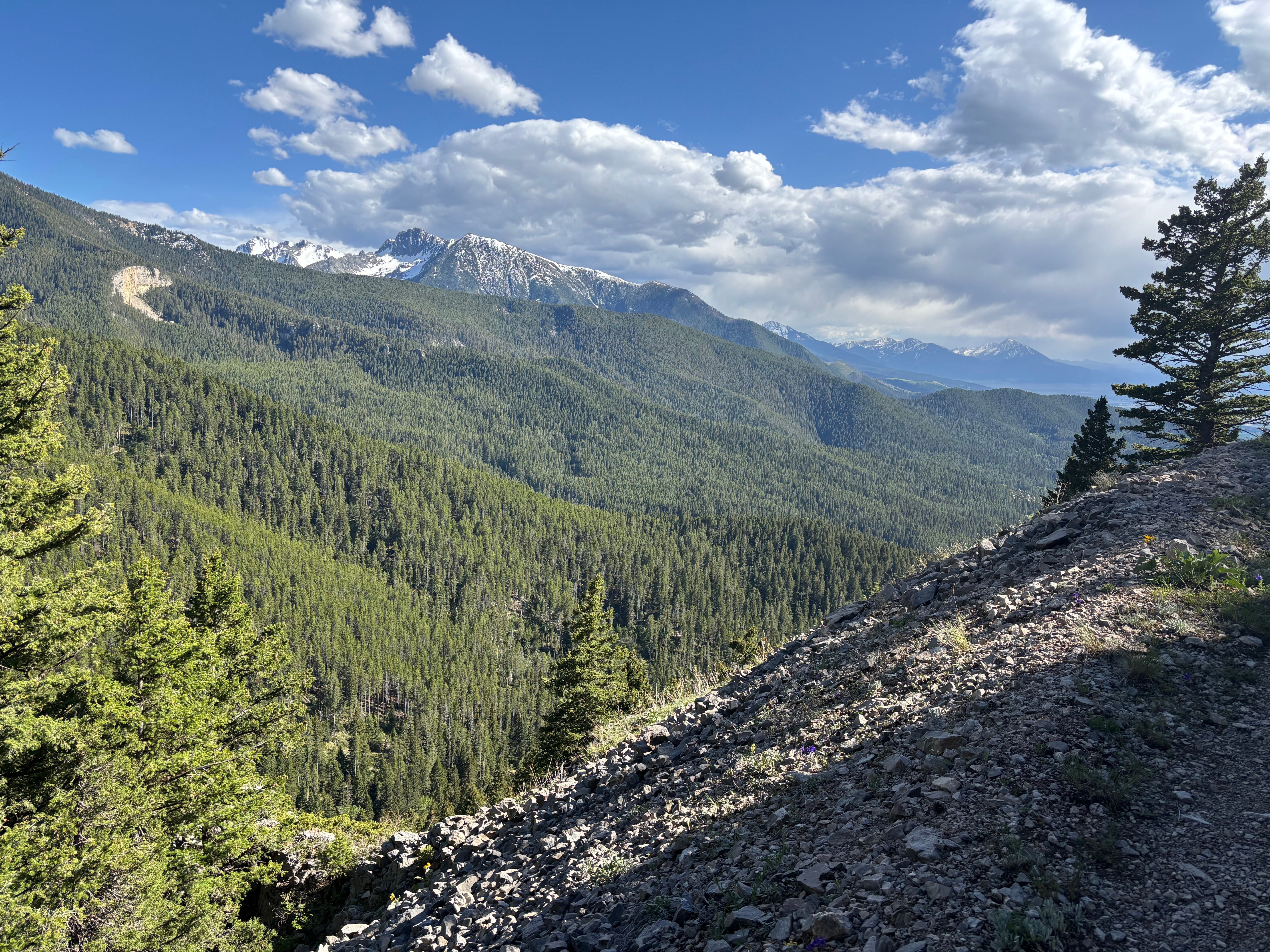 Hiking Trails Report - June 4, 2026