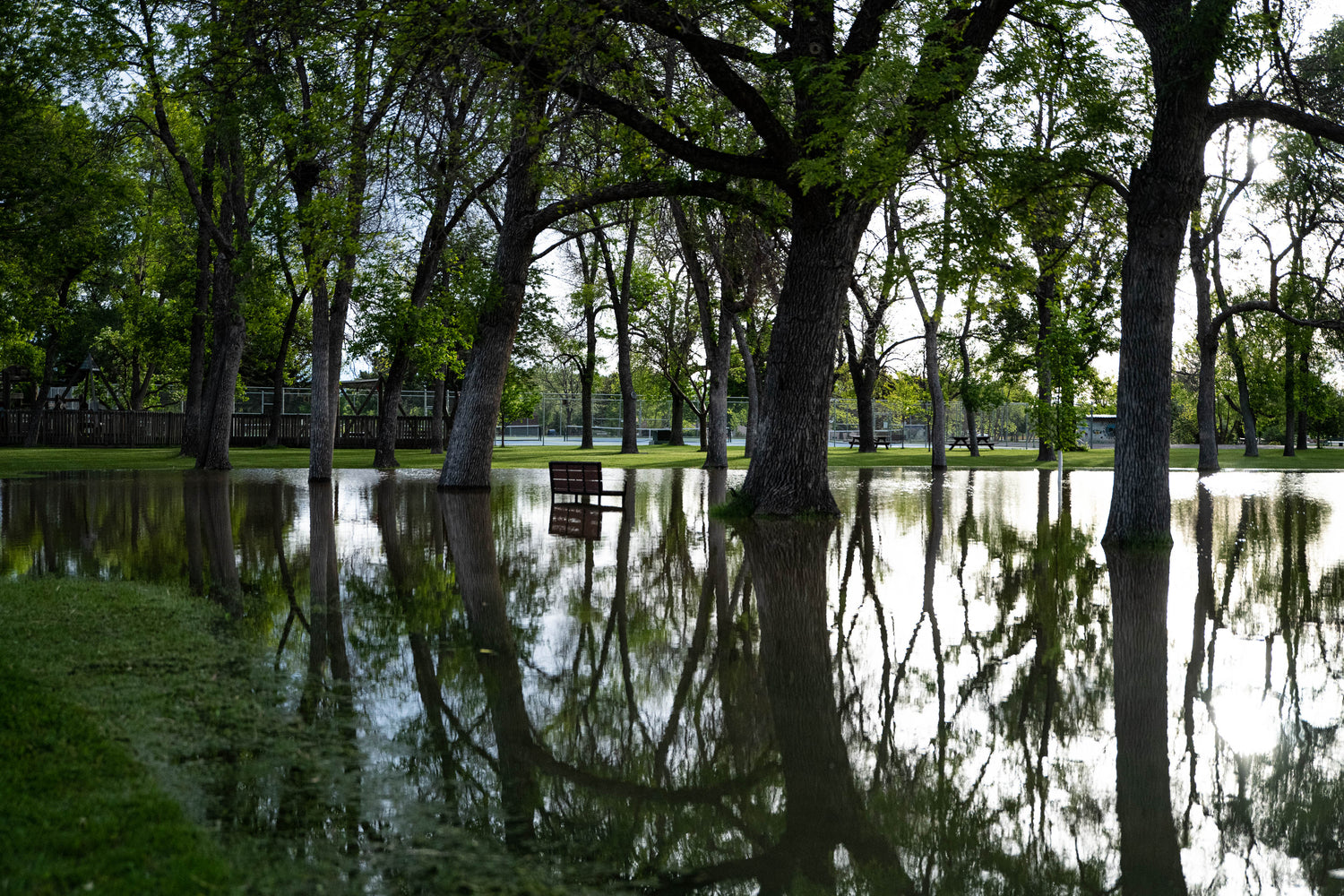 16 June, 2022 - Yellowstone River and Livingston Area Update