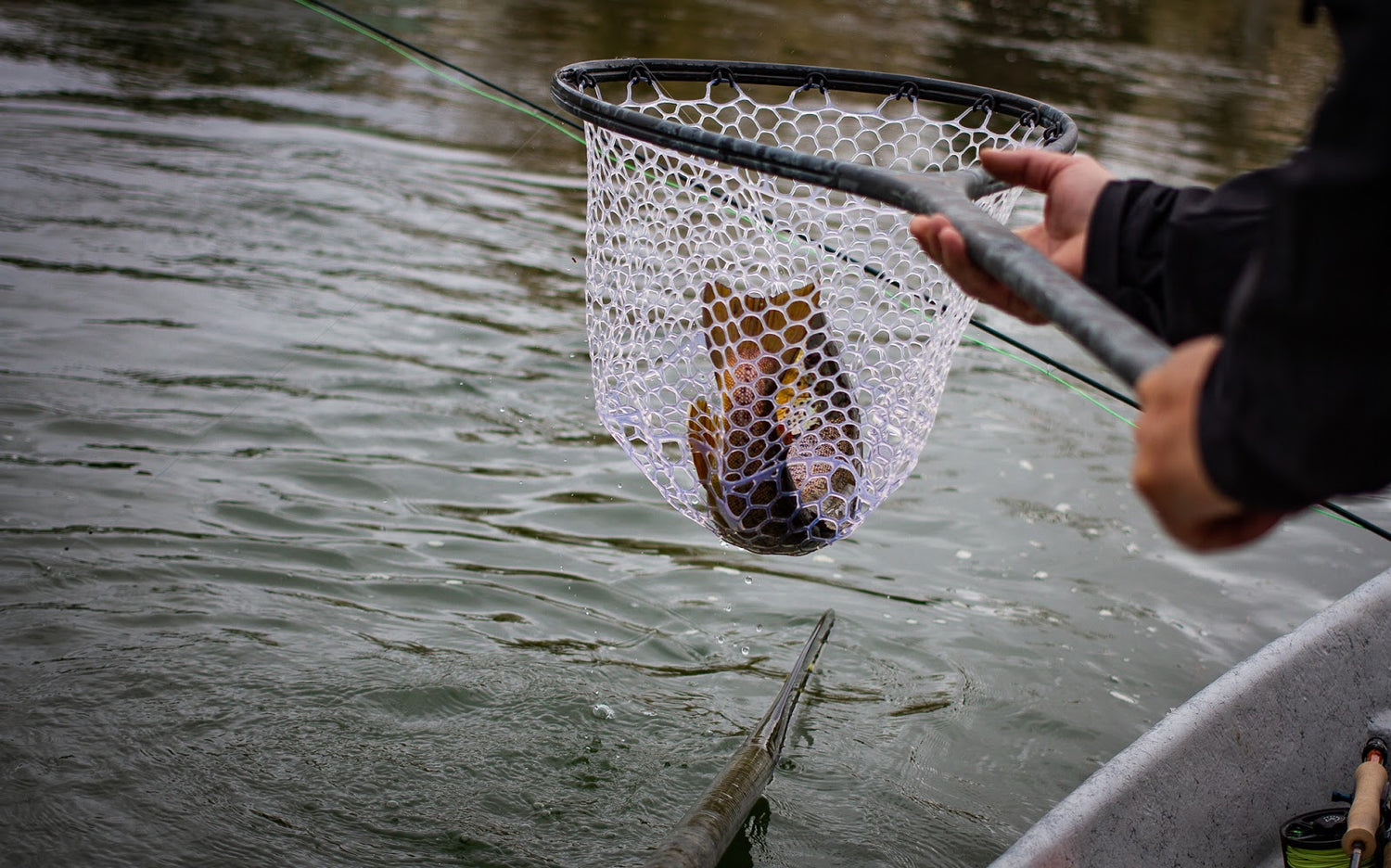 11 June, 2021 - Yellowstone River and Livingston Area Fly Fishing Report