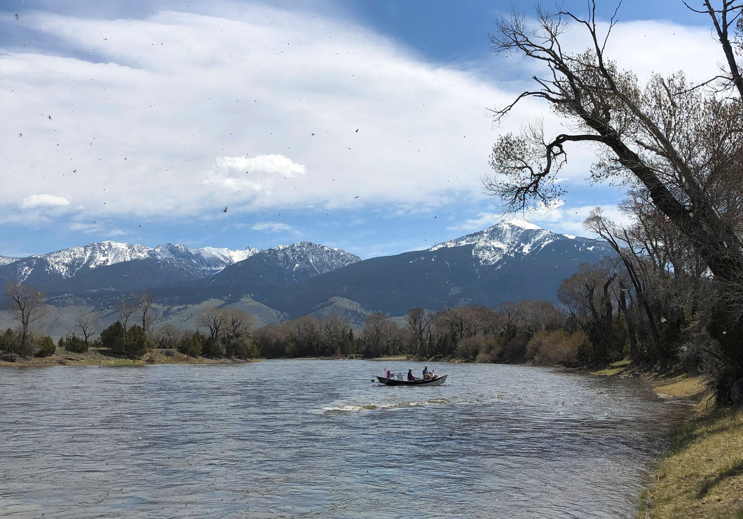 Yellowstone River and Paradise Valley Fishing Report - May 1, 2026