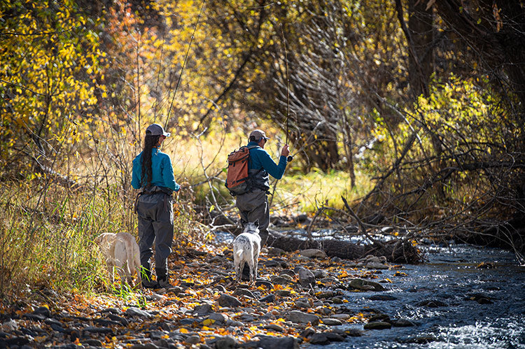 28 October, 2024 - Yellowstone River and Livingston Area Fly Fishing Report