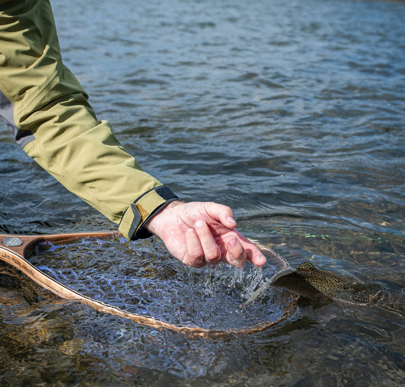 How To Keep Fish Healthy In Warm Water Temps – Dan Bailey's Fly Shop - est.  1938 Livingston Montana