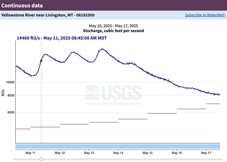 17 May, 2025 - Yellowstone River and Livingston Area Fly Fishing Report