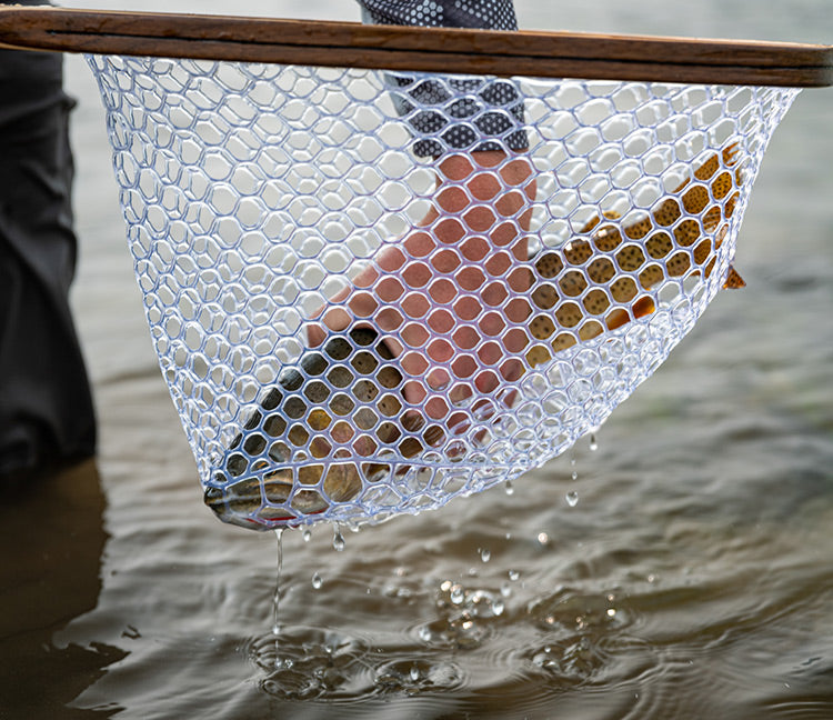 1 August, 2022 - Yellowstone River and Livingston Area Fly Fishing Report