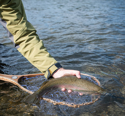 1 October, 2021 - Yellowstone River and Livingston Area Fly Fishing Report