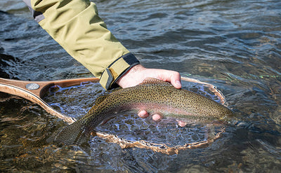 12 March, 2022 - Yellowstone River and Livingston Area Fly Fishing Report