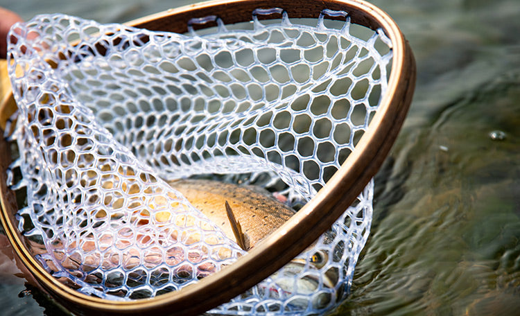 13 July, 2022 - Yellowstone River and Livingston Area Fly Fishing Report