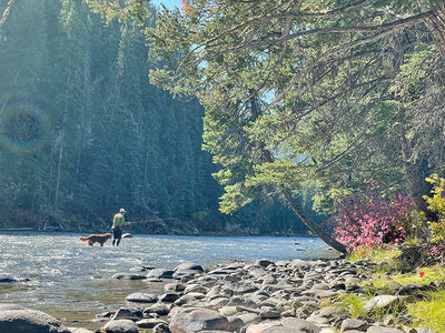 15 October, 2021 - Yellowstone River and Livingston Area Fly Fishing Report