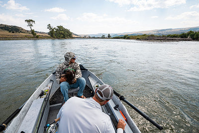 17 September, 2021 - Yellowstone River and Livingston Area Fly Fishing Report