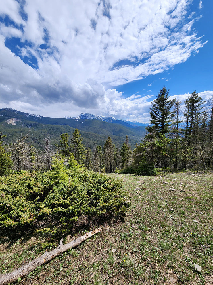 19 May, 2023 - Livingston Area Hiking Trail Condition Report