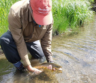 2 July, 2021 - Yellowstone River and Livingston Area Fly Fishing Report