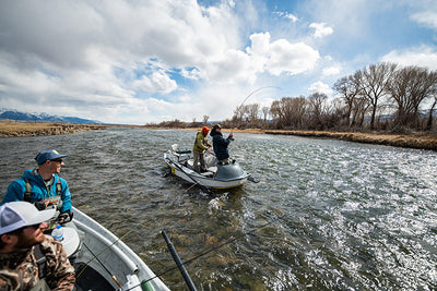 19 April, 2024 - Yellowstone River and Livingston Area Fly Fishing Report