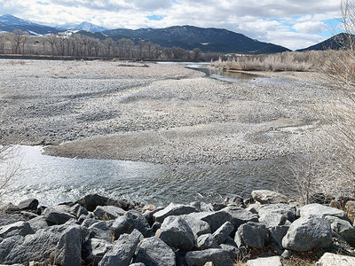 23 March, 2022 - Yellowstone River and Livingston Area Fly Fishing Report