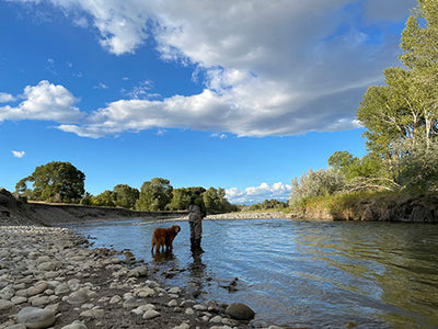 24 September, 2021 - Yellowstone River and Livingston Area Fly Fishing Report
