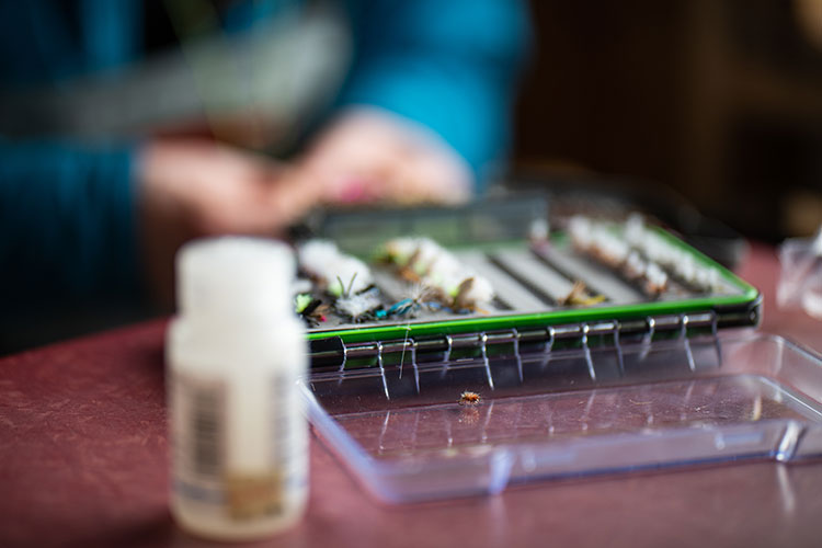 26 February, 2023 - Yellowstone River and Livingston Area Fly Fishing
