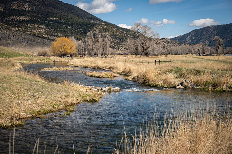 30 September, 2022 - Yellowstone River and Livingston Area Fly Fishing Report