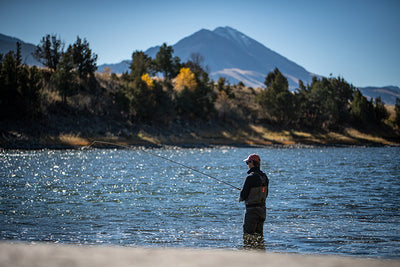 5 November, 2022 - Yellowstone River and Livingston Area Fly Fishing Report