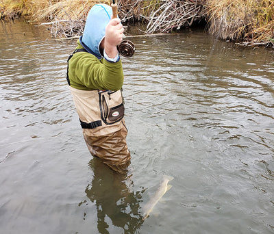 7 November, 2021 - Yellowstone River and Livingston Area Fly Fishing Report