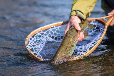 14 April, 2021 Yellowstone River and Livingston Area Fishing Report
