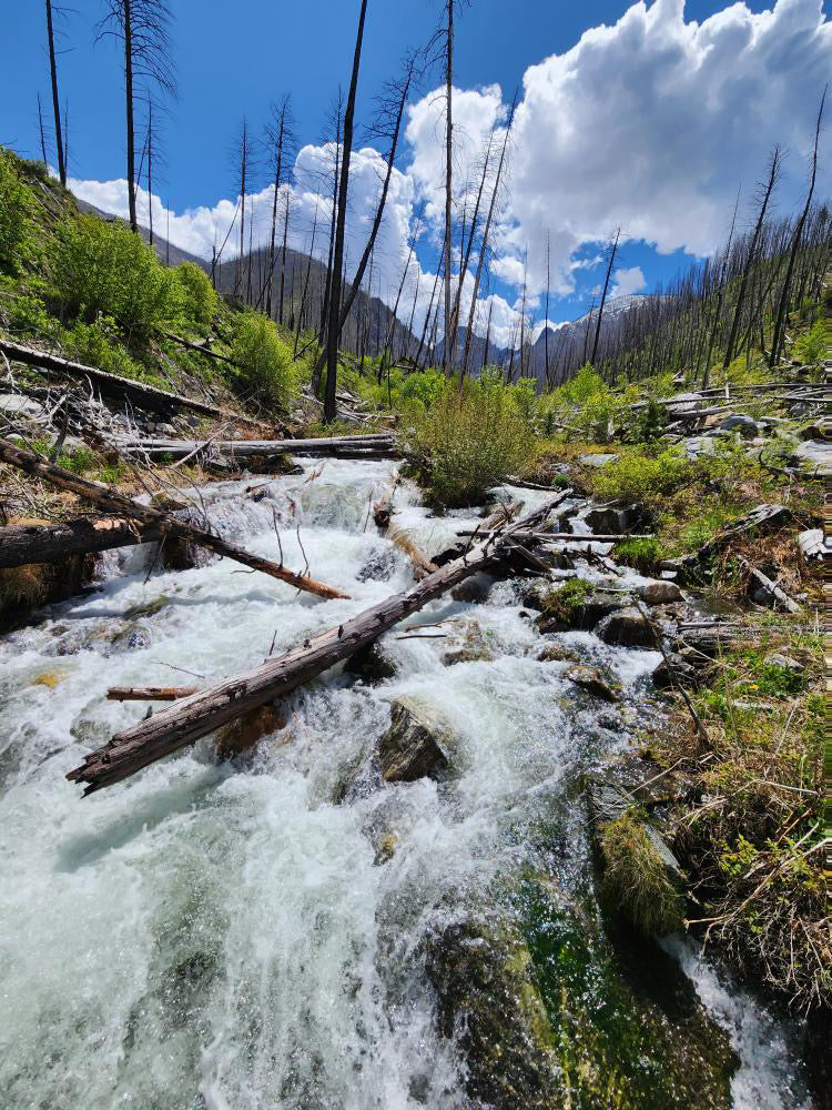 15 June, 2023 - Livingston Area Hiking Trail Condition Report