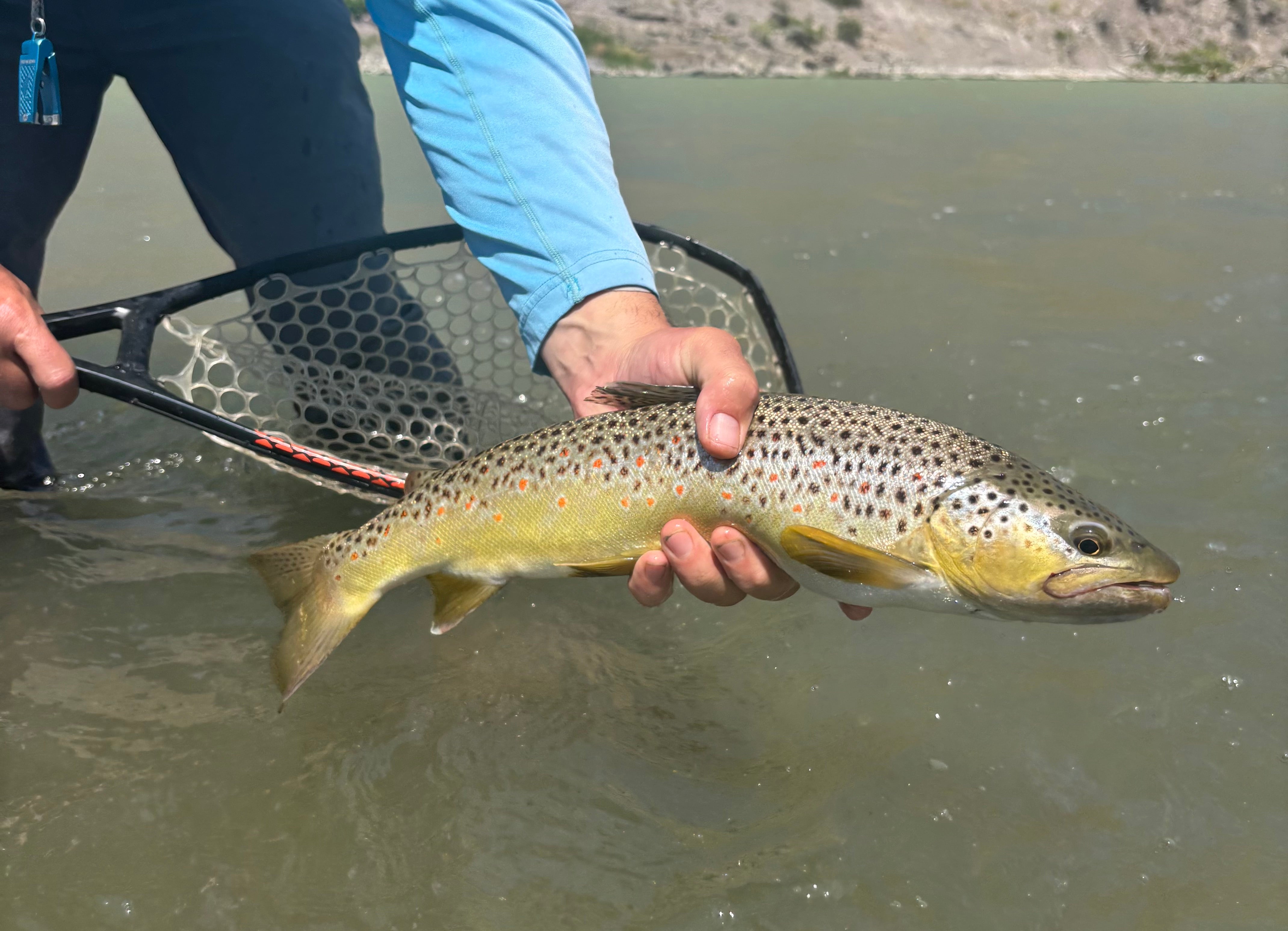 Yellowstone River and Livingston Area Fishing Report - August 5, 2026