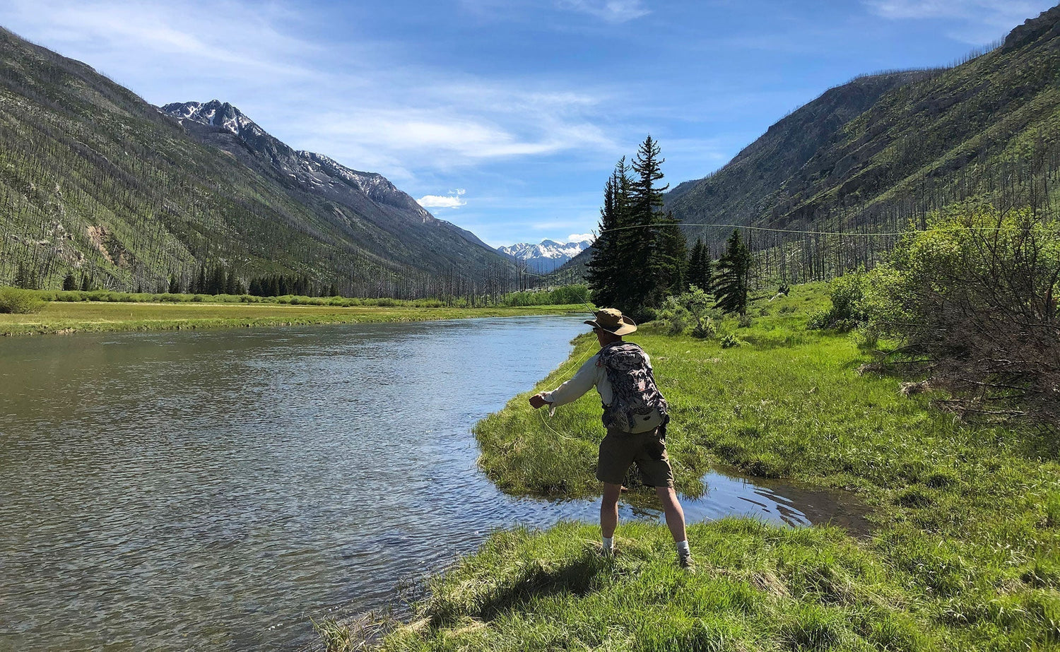 Yellowstone River and Livingston Area Fly Fishing Report - May 29, 2025