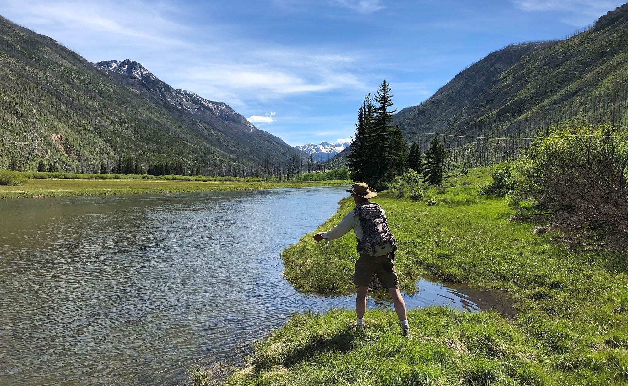 Yellowstone River and Livingston Area Fly Fishing Report - May 29, 2025