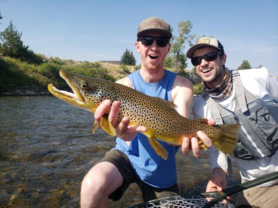 9 September, 2022 - Yellowstone River and Livingston Area Fly Fishing Report