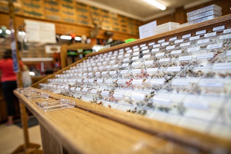 17 April, 2023 - Yellowstone River and Livingston Area Fly Fishing Report