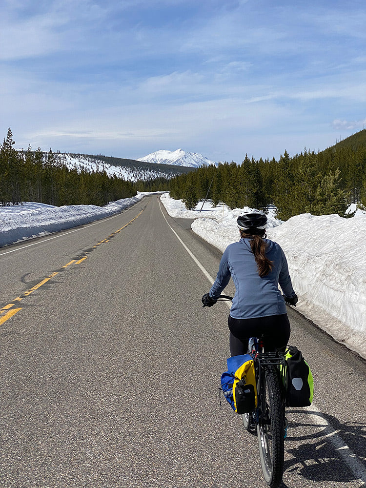 Spring Transitions in Yellowstone National Park