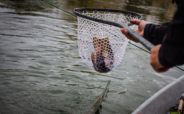 Fall Fishing - How To Fish Streamers