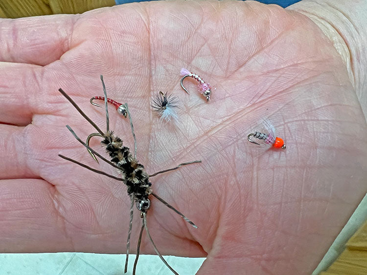 10 March, 2023 - Yellowstone River and Livingston Area Fly Fishing Report