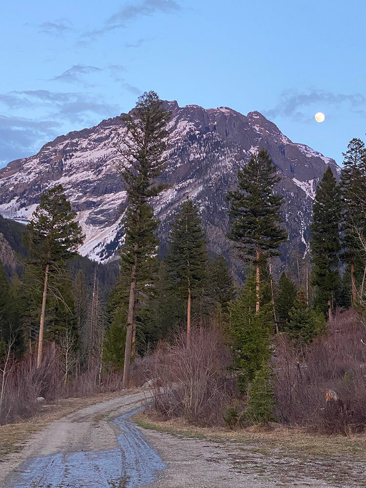 5 May, 2023 - Livingston Area Hiking Trail Condition Report