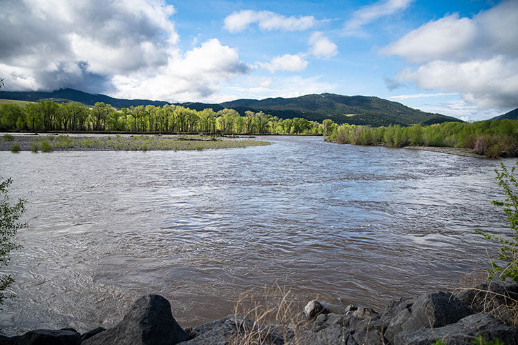 29 May, 2022 - Memorial Day Weekend Yellowstone River and Livingston Area Fly Fishing Report